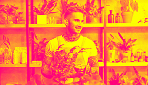 Man florist standing in flower and plant shop, holding a plant in a pot