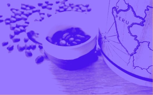 Understand Peru's payment landscape with our complete guide covering regulations and compliance requirements.