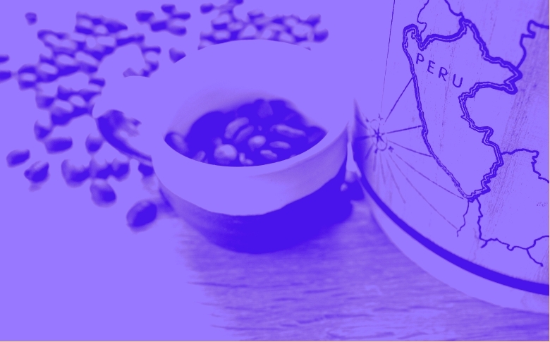 Understand Peru's payment landscape with our complete guide covering regulations and compliance requirements.