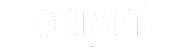 Paynt logo